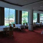 酒店 Thermal Elisabethpark
