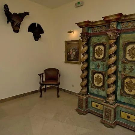 Thermal Elisabethpark Hotel 4*