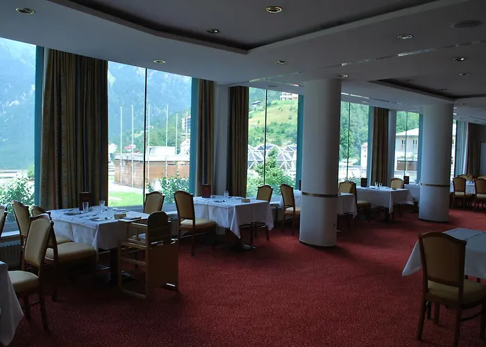 Otel Thermal Elisabethpark